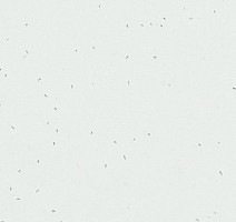 Линолеум Forbo Sphera Energetic 50200 snow фото 1 | FLOORDEALER